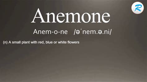 anemone pronunciation uk|anemone, n. meanings, etymology and more .